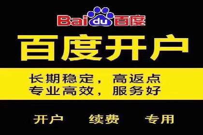 百度推广服务费案例：让品牌快速崛起的秘诀